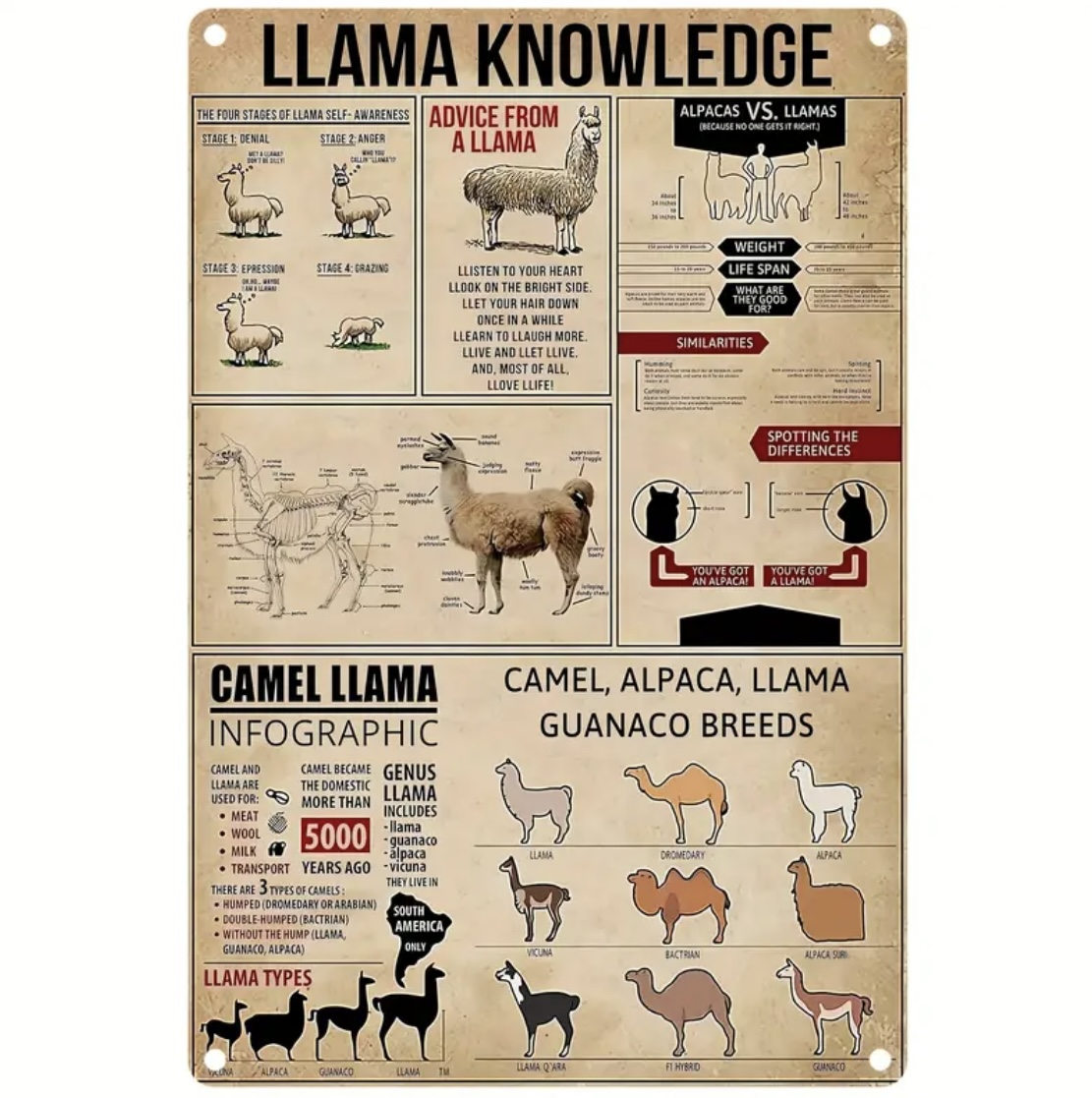 Kovová cedule Llama Knowledge