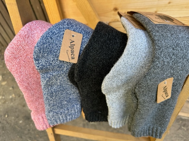 Dámské ponožky termo se zdravotním lemem 