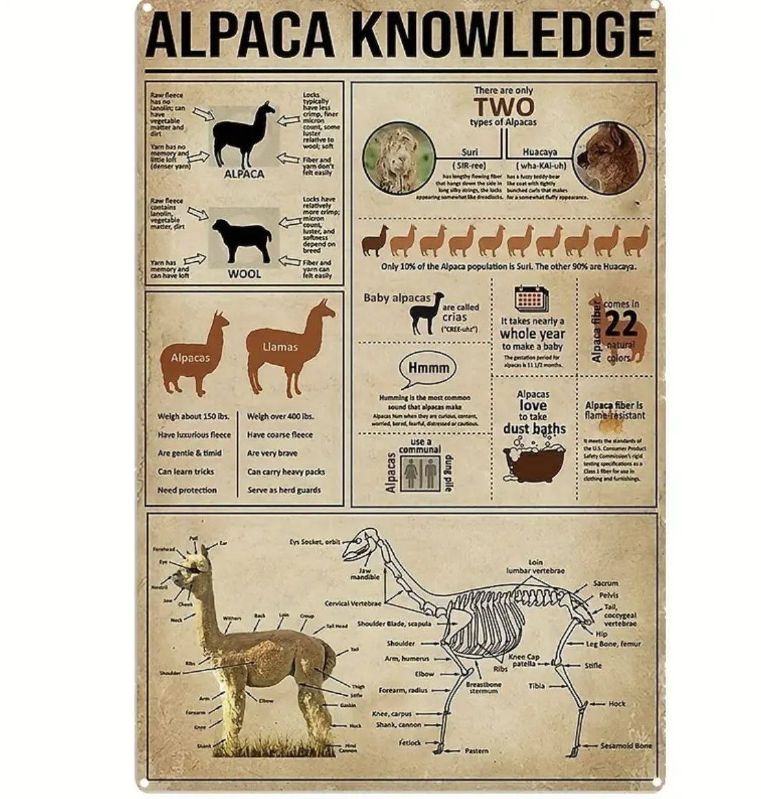 Kovová cedule Alpaca Knowledge
