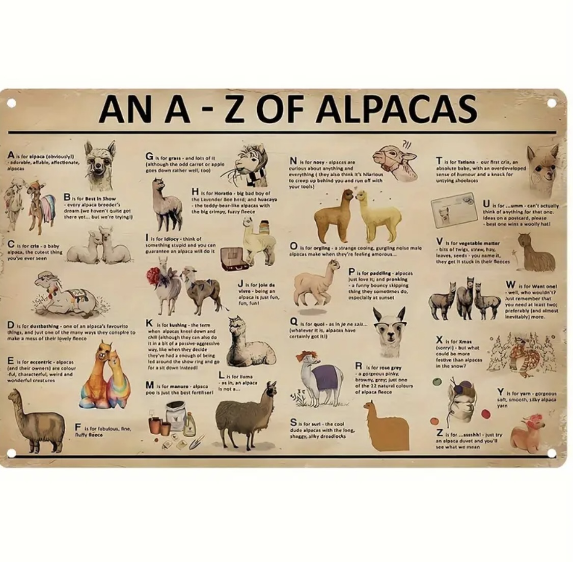 Kovová cedule A - Z of Alpacas